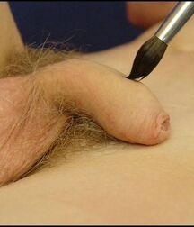 Salius' original way of using a brush boys porn 6296184c2b361.jpg