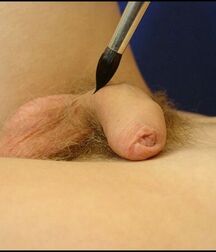 Salius' original way of using a brush boys porn 62961852da8df.jpg