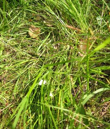 Blond muscular lad jerks off outdoors boys porn 62b0989311612.jpg