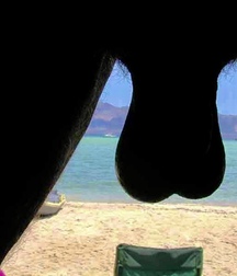 Nothing But Hot Guys Twink Gay Porn 626ec0f2ea660.jpg