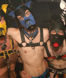 Twinks 'n' kinks  57dda349e7334.jpg