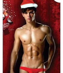 Merry Christmas 585e88218fffd.jpg