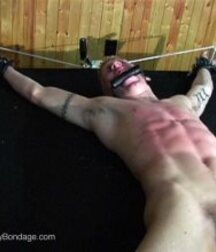 The Boys Ass Up Twinks Gay Porn 62cc812e3d1a0.jpg