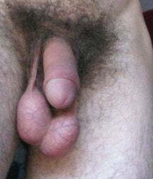 Boy porn those beautiful balls 5efe4c016f071.jpg