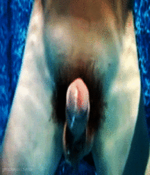 cum,cum 583810a0d1915.gif