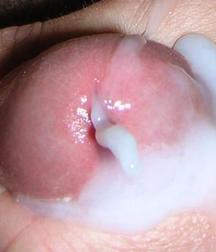 cum,cum 58414f8b1e2cc.jpg