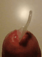 cum,cum 58414f9aa0706.gif