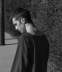 Troye Sivan Mellet 5889b80212a49.jpg