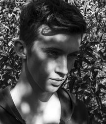 Troye Sivan Mellet 5889b8067c8e9.jpg