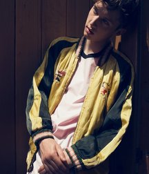 Troye Sivan Mellet 5889b80d7793e.jpg