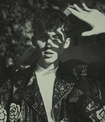 Troye Sivan Mellet 5889b8138ff44.jpg