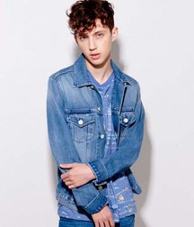 Troye Sivan Mellet 5889b81ac038f.jpg