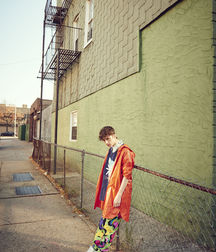 Troye Sivan Mellet 5889b82592363.jpg