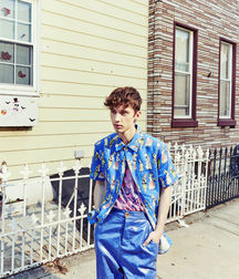Troye Sivan Mellet 5889b8353ef52.jpg