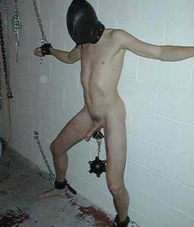 Tenakoe's cute slaves 5bbcc18ae418f.jpg
