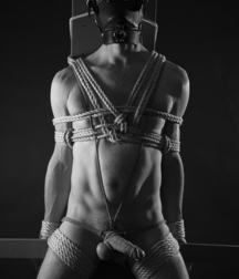 Tenakoe's happy slaves 5be1cb829cbbf.jpg