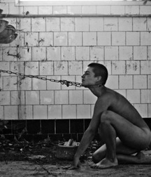 Tenakoes happy slaves - boy porn young bondage twinks 5e95e6e6418f1.jpg