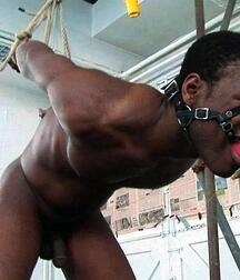 Tenakoes hot bondage boys porn 6019853e1a09a.jpg