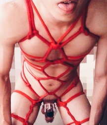 Tenakoes tied and happy gays