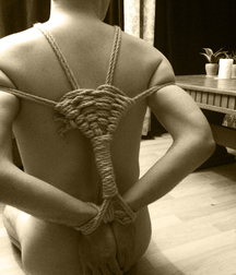 Tenakoes tied and happy gays 616676692a6ce.jpg