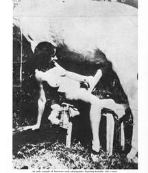 vintage pictures 599d61907756c.jpg