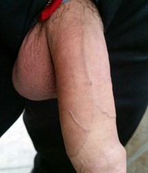 hot cocks 5982ace946743.jpg