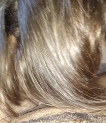 Me and Connor Boys Porn 5f1970da86a35.jpg