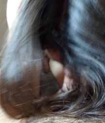 Me and Connor Boys Porn 5f1970dc98277.jpg