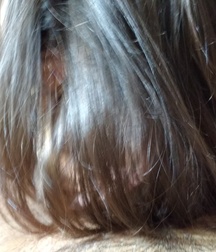 Me and Connor Boys Porn 5f1970e0c31ab.jpg