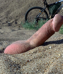 A shocked Cat ! 5762ef689cf88.jpg