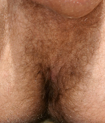 Backstreetboys 1853 - Gay Tube 5e5124d808373.jpg