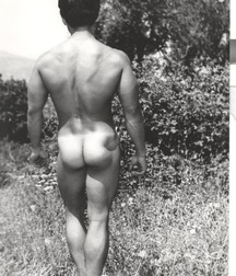 Butts galore 56d20f05557d3.jpg