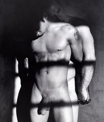 Shaved 364 56e43f5f62a34.jpg
