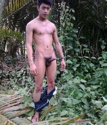 Gotta love Asians 571501c28fd5c.jpg