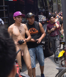Shaved 492 57c309db4f561.jpg