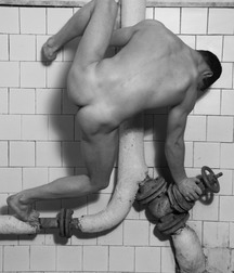 Butts and more butts 5818bcfaef51e.jpg