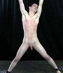 Shaved 617 584d7e856bcc2.jpg