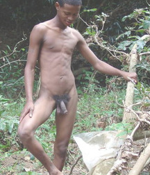 Dark Meat 5873e952bbd11.jpg