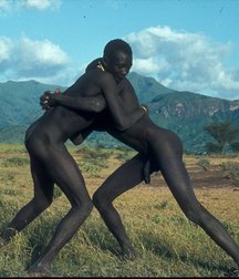 Dark Meat 5873e958ec3c1.jpg