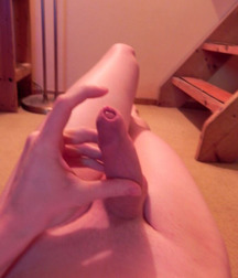 Shaved 471 58862e6db693f.jpg