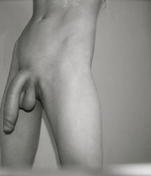 Shaved 484 5890b9010d086.jpg