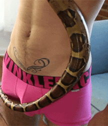 What's he hiding?