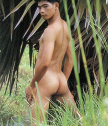 Buttox 58e1130044852.jpg