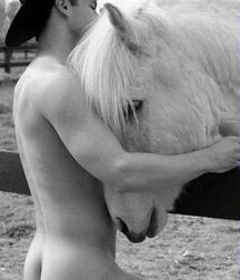 Buttox 58e11301c73a1.jpg