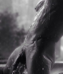 Shaved 671 5974bba7b55fa.jpg