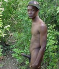 Shaved 703 5994607b8d361.jpg