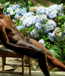 Chocolate Cock 5a2425eead988.jpg