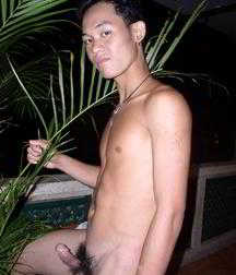 Asians everywhere