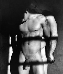 Shaved 962 5aca32a236404.jpg