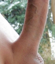 Shaved 1045 5b3f8003e0a03.jpg